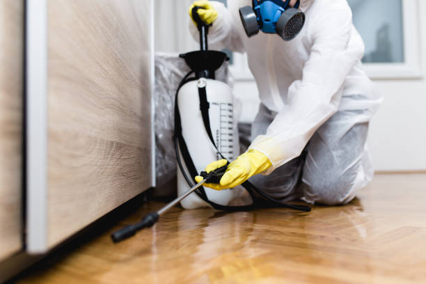 Best Pest Control Cost  in Linden, MI