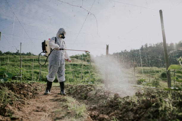 Best Ant Control Services  in Linden, MI