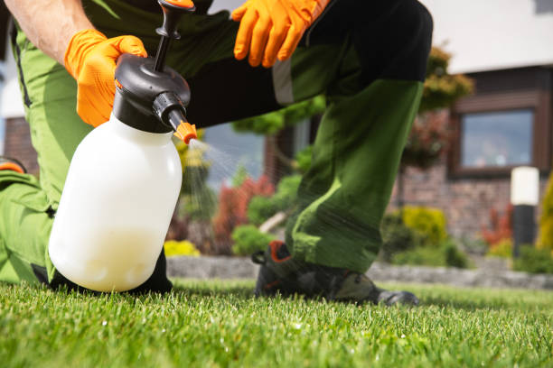 Best Emergency Pest Control  in Linden, MI