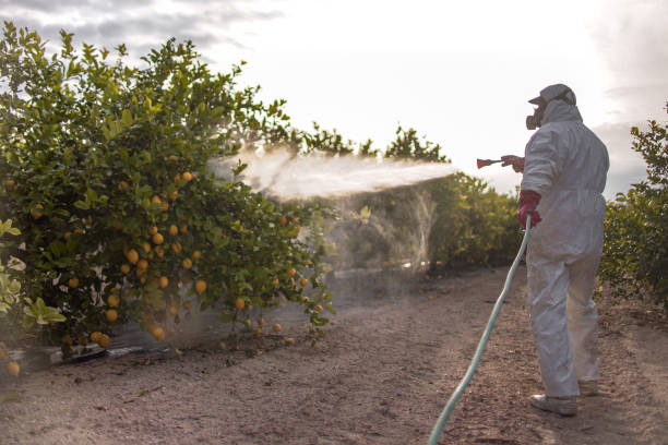 Best Wildlife Control Services  in Linden, MI