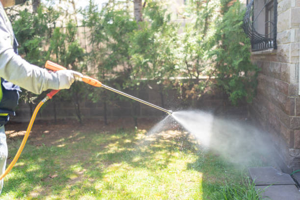 Best Bed Bug Extermination  in Linden, MI