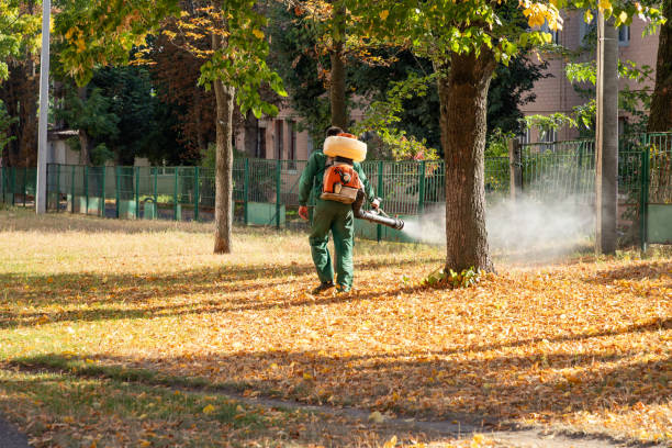 Best Pest Inspection Near Me  in Linden, MI