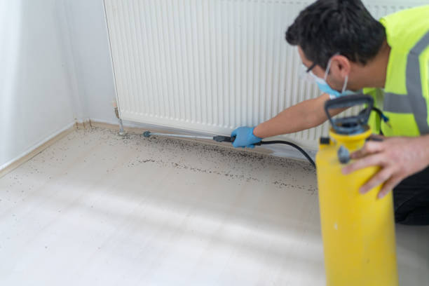 Best Rat Extermination Near Me  in Linden, MI