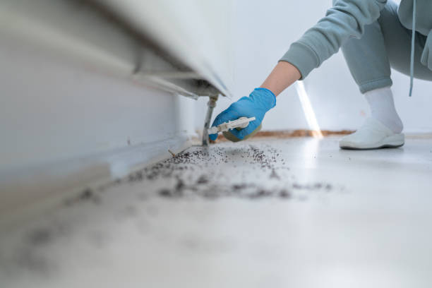 Trusted Linden, MI Pest Control Experts
