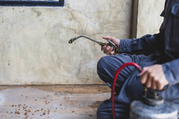 Best Exterminator Services  in Linden, MI